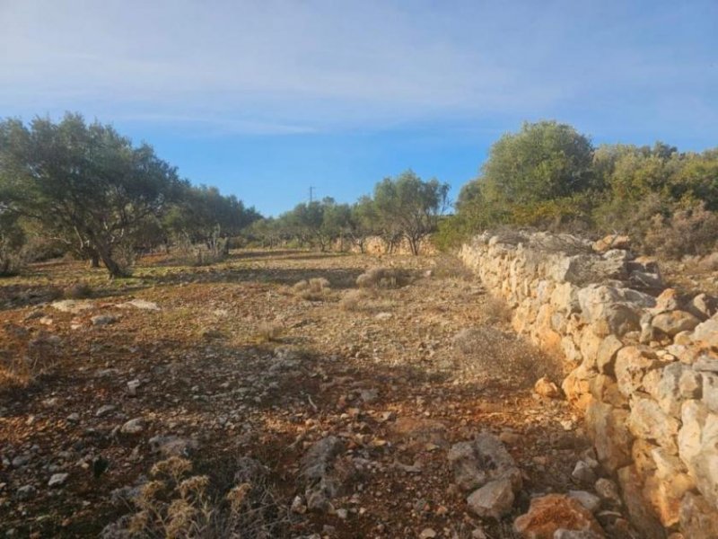 Agios Nikolaos Kreta, Agios Nikolaos: Großes Baugrundstück mit herrlichem Meerblick zu verkaufen Grundstück kaufen